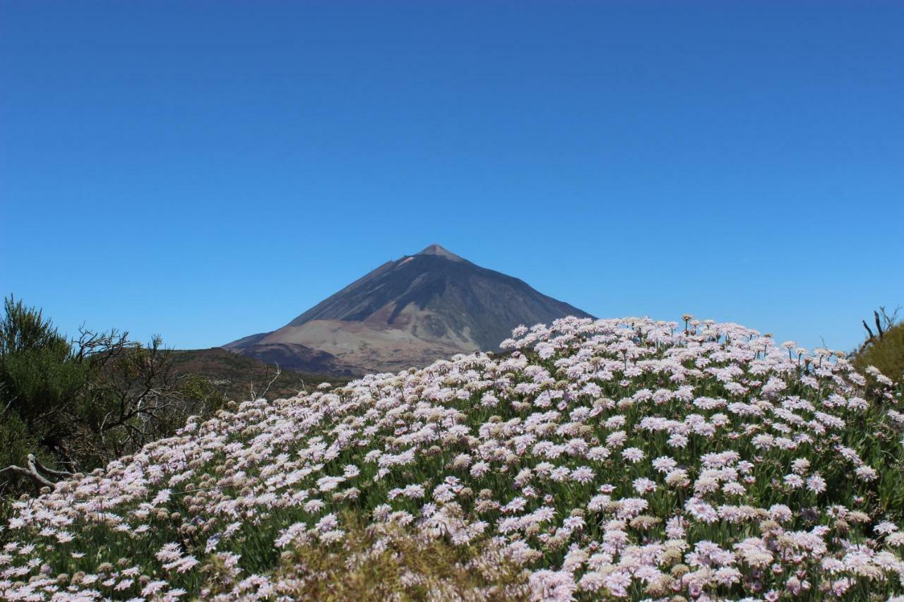 Apt El Perenquen Santa Cruz de Tenerife Buitenkant foto